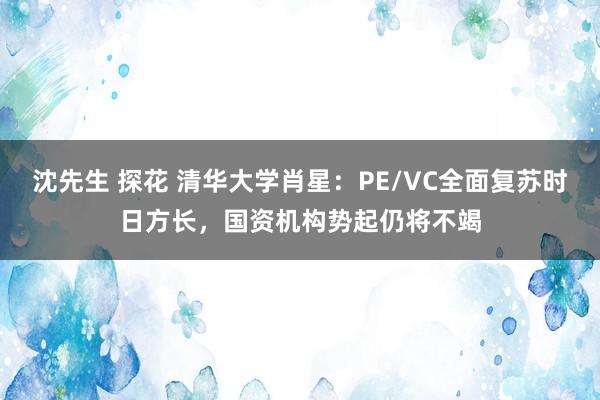 沈先生 探花 清华大学肖星：PE/VC全面复苏时日方长，国资机构势起仍将不竭