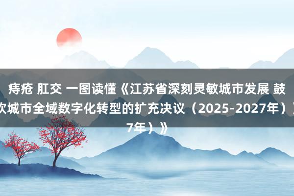 痔疮 肛交 一图读懂《江苏省深刻灵敏城市发展 鼓吹城市全域数字化转型的扩充决议（2025-2027年）》